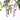 2pcs Lifelike Hanging Wisteria Flower Garland – Purple Silk Artificial Vine for Indoor & Outdoor Decoration - Lifeideas