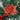 270cm Pre-Lit Artificial Spruce Christmas Garland with Warm White LED Lights - Lifeideas