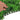 40x60cm Artificial Ivy Wall Panel – Reusable Decorative Green Hedge for Home, Events & Outdoor Spaces - Lifeideas