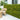 Artificial Eucalyptus Wall Panel – Lush Greenery Backdrop for Indoor & Outdoor Decoration - Lifeideas