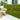Artificial Eucalyptus Wall Panel – Lush Greenery Backdrop for Indoor & Outdoor Decoration - Lifeideas