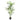 #height_150cm