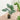 Artificial Monstera Leaf Potted Plant – Turtle Back Leaf Indoor Greenery Decoration - Lifeideas