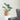 Artificial Monstera Leaf Potted Plant – Turtle Back Leaf Indoor Greenery Decoration - Lifeideas