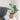 Artificial Monstera Leaf Potted Plant – Turtle Back Leaf Indoor Greenery Decoration - Lifeideas