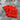 4-Pack Soft Square Tatami Seat Cushions – Comfortable, Durable & Chair-Friendly - Lifeideas