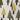#color_tree-pattern