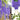#color_purple