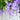 2pcs Lifelike Hanging Wisteria Flower Garland – Purple Silk Artificial Vine for Indoor & Outdoor Decoration - Lifeideas