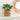 Artificial Monstera Leaf Potted Plant – Turtle Back Leaf Indoor Greenery Decoration - Lifeideas