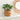Artificial Monstera Leaf Potted Plant – Turtle Back Leaf Indoor Greenery Decoration - Lifeideas