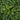 Artificial Greenery Hedge Wall Panel – UV-Resistant Outdoor Privacy Decor - Lifeideas