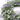 Artificial Lavender Wreath – Front Door Hanging Decoration with Eucalyptus Foliage, All-Season PVC Design - Lifeideas