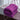#color_dark-purple
