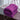 #color_dark-purple