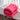 #color_rose-red