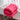 #color_rose-red