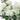 Artificial Floral Row Arrangement – Silk Wedding Tabletop & Backdrop Decoration for Events & Home - Lifeideas