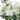 Artificial Floral Row Arrangement – Silk Wedding Tabletop & Backdrop Decoration for Events & Home - Lifeideas