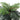 Artificial Palm Tree in Pot – Realistic Faux Potted Plant for Home Decor - Lifeideas
