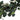 55cm Artificial Eucalyptus Topiary Wreath – Handmade Silk Leaf Door and Wall Decor - Lifeideas