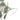 Artificial Eucalyptus and Rose Garland – Elegant Silk Flower Vine for Home and Wedding Decoration - Lifeideas