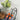 4-Tier S-Shape Metal Shoe Rack with Decorative Side Panels - Lifeideas