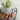 4-Tier S-Shape Metal Shoe Rack with Decorative Side Panels - Lifeideas