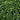 40x60cm Artificial Green Plant Wall Hedge Panel – UV-Proof Ivy for Indoor & Outdoor Use - Lifeideas