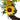 Artificial Sunflower Welcome Wreath – Round Silk Floral Door Decoration - Lifeideas