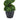 2 Pack Artificial Spiral Boxwood Topiary Tree – Realistic Fake Plant for Indoor & Outdoor Decoration - Lifeideas