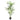#height_150cm