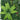 Artificial Plant Hedge Greenery Wall Panel – Assorted Foliage for Indoor & Outdoor Décor