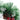 32cm Snow-Flocked Artificial Christmas Wreath with Pine Cones and Bows – Classic Holiday Decor - Lifeideas