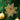 30-Piece Artificial Poinsettia Flower Set – Glitter Sequin Christmas Tree Decorations