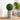 28cm Decorative Artificial Boxwood Topiary Ball – Realistic & Low-Maintenance Greenery for Home or Office