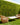 Artificial Eucalyptus Wall Panel – Lush Greenery Backdrop for Indoor & Outdoor Decoration