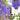 #color_purple