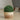 28cm Decorative Artificial Boxwood Topiary Ball – Realistic & Low-Maintenance Greenery for Home or Office - Lifeideas