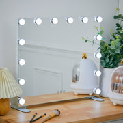 LED Lighted Vanity Mirror with 14 Bulbs for Dressing Room and Bedroom