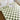 #dimensions_100cm-w-x-150cm-d