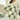#dimensions_100cm-w-x-150cm-d