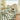 #dimensions_100cm-w-x-150cm-d
