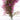 Artificial Hanging Vine with Purple-Red Leaves – Realistic Silk Plant for Indoor & Outdoor Decor - Lifeideas