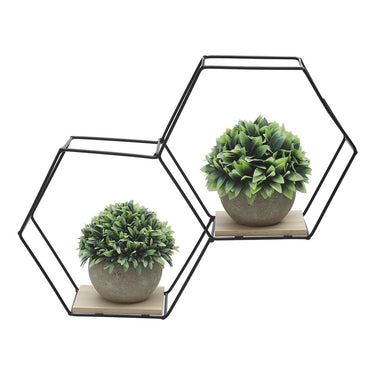 #number-of-shelves_2