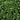 40x60cm Artificial Green Plant Wall Hedge Panel – UV-Proof Ivy for Indoor & Outdoor Use - Lifeideas