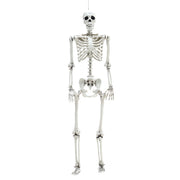 Halloween Realistic Full Body Skeleton Prop Decoration Posable Joints