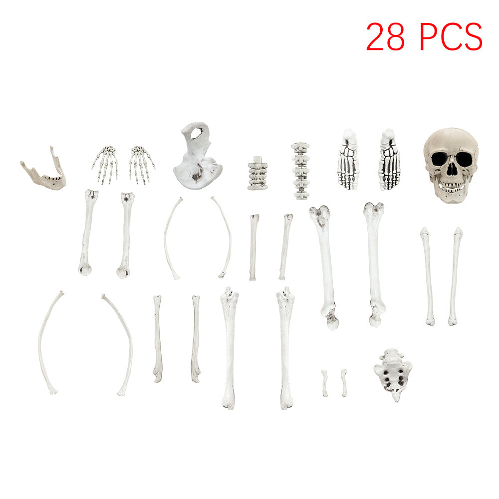 Halloween Realistic Skull and Bone Skeleton Decoration Kit, SC1476