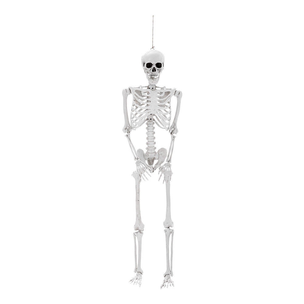 Poseable Skeleton Props for Halloween Party Decoration, SW0676