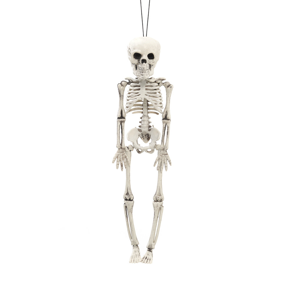 Realistic Posable Hanging Skeleton for Halloween, SC0884